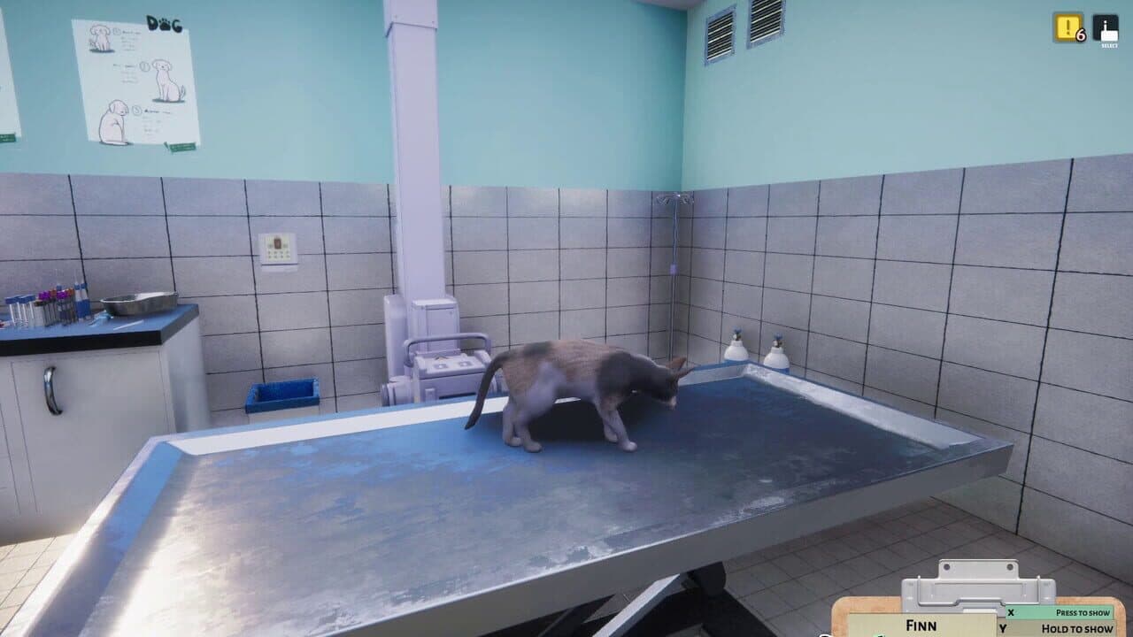 Animal Shelter: Vet Clinic thumbnail 10