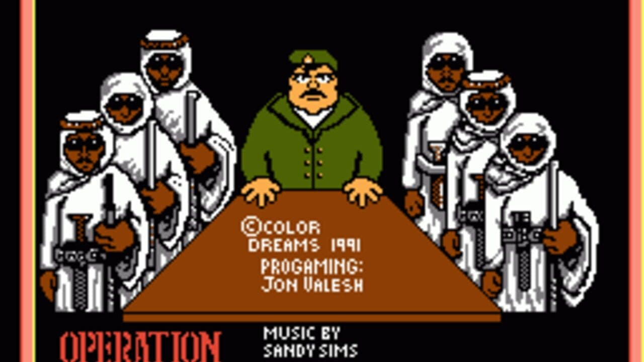 Operation Secret Storm screenshot 1
