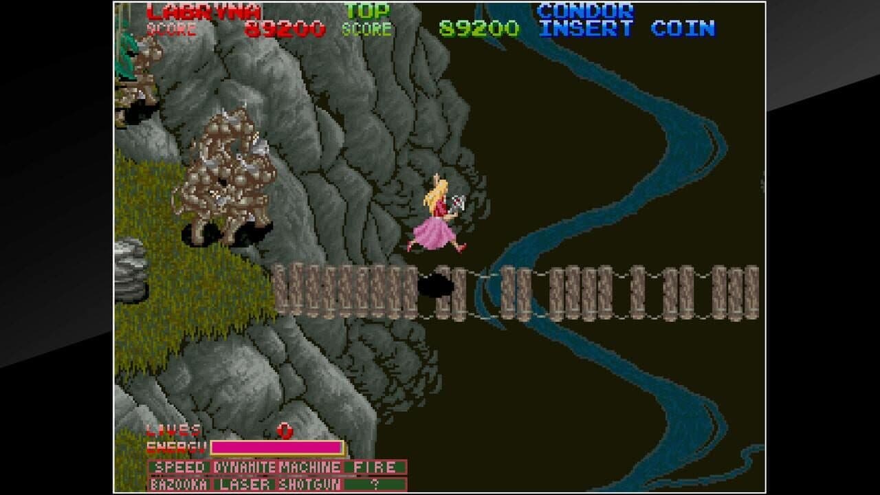 Arcade Archives: Dark Adventure thumbnail 2
