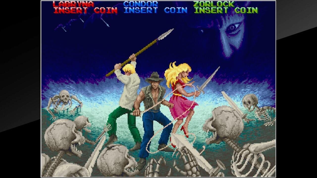 Arcade Archives: Dark Adventure thumbnail 8