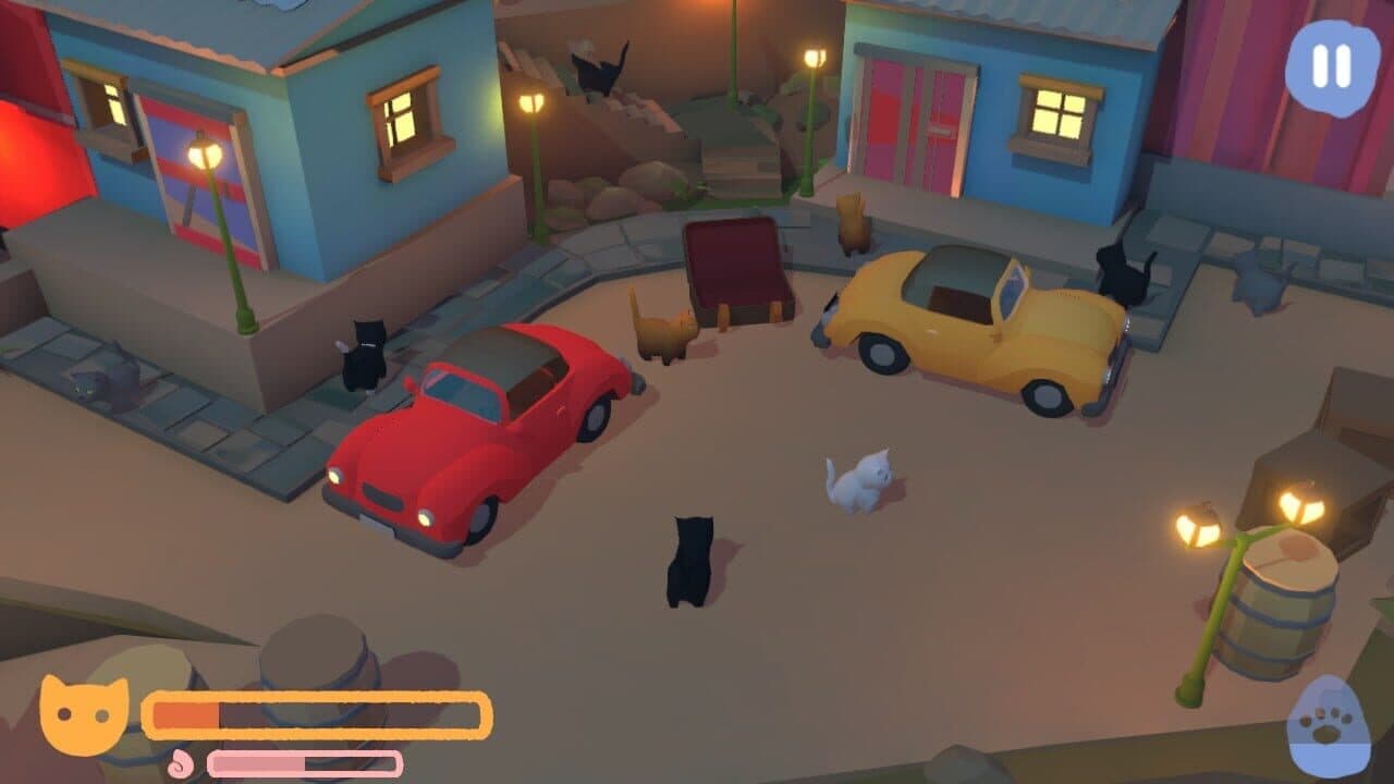 Hidden Paws Bundle thumbnail 4