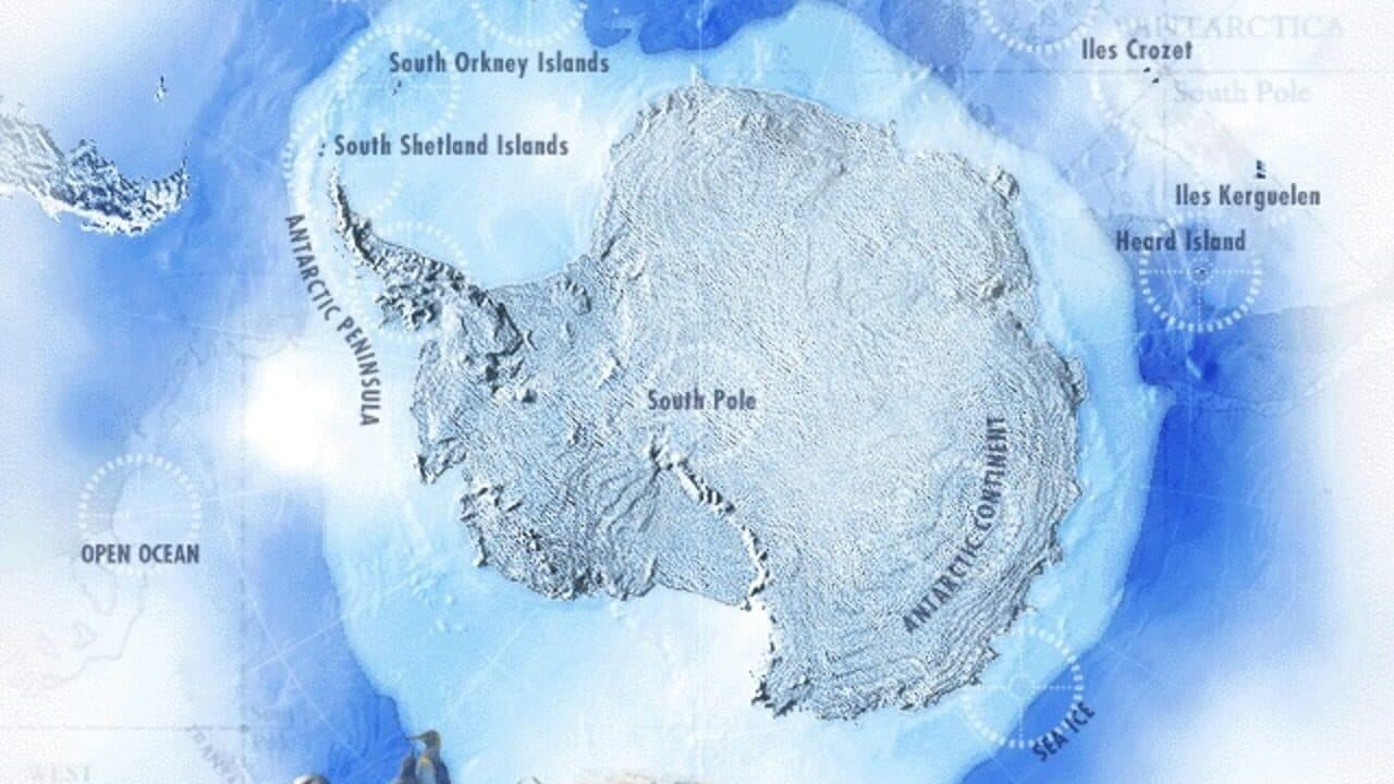 Attenborough's Antarctic: An Exploration of Life in the Freezer screenshot 1