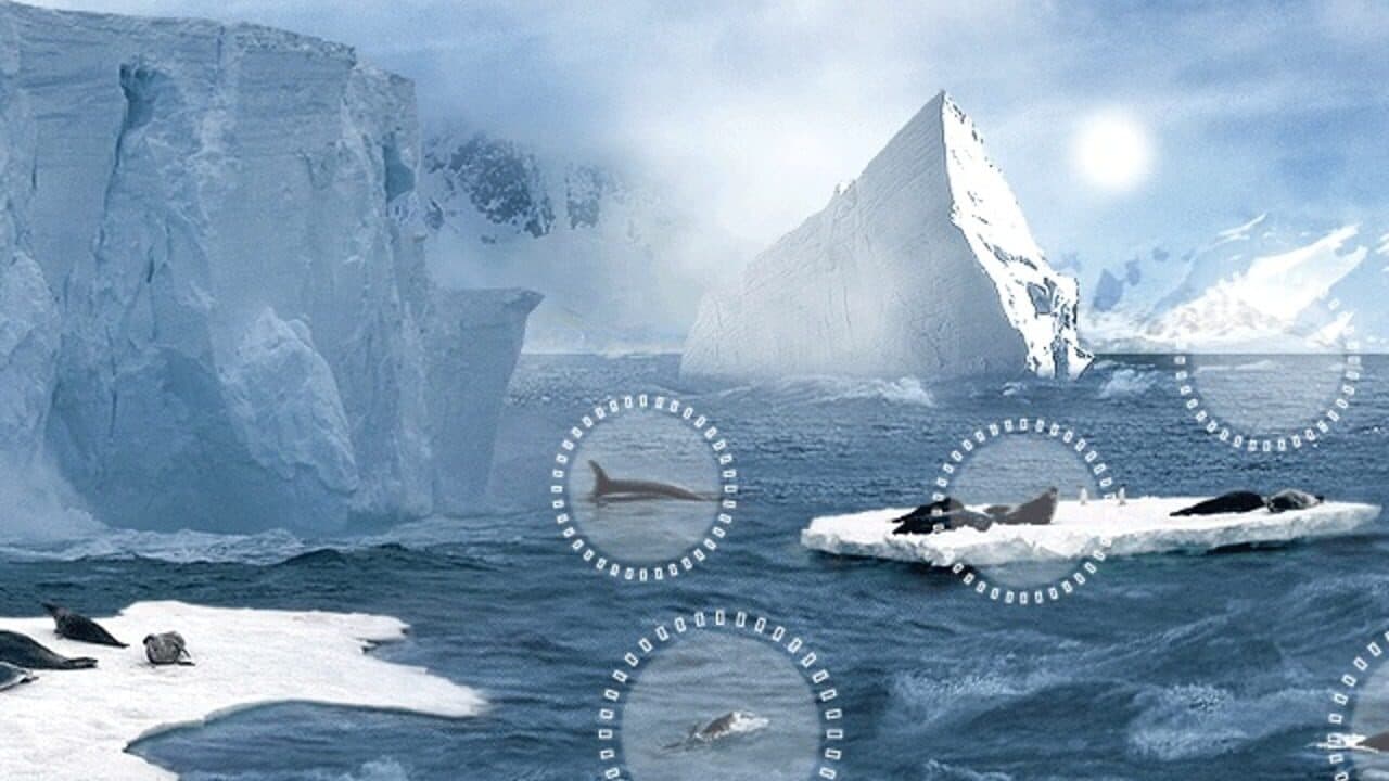 Attenborough's Antarctic: An Exploration of Life in the Freezer thumbnail 3