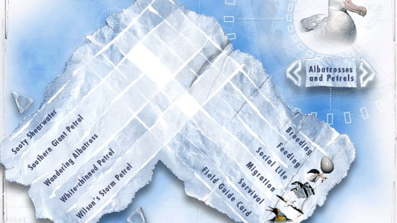 Attenborough's Antarctic: An Exploration of Life in the Freezer thumbnail 7