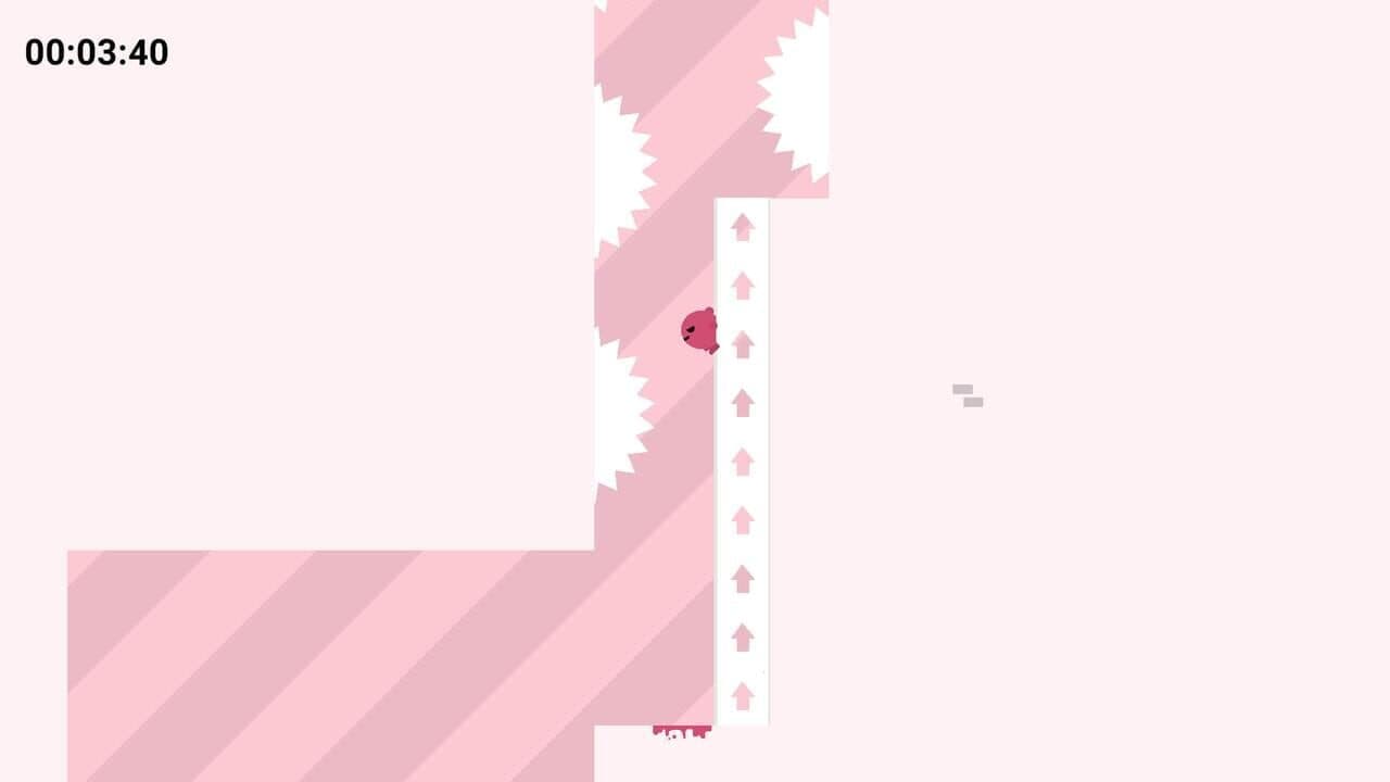 Colorful Boi thumbnail 8