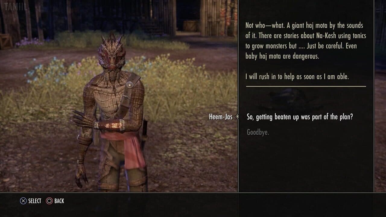 The Elder Scrolls Online: Shadows of the Hist thumbnail 2