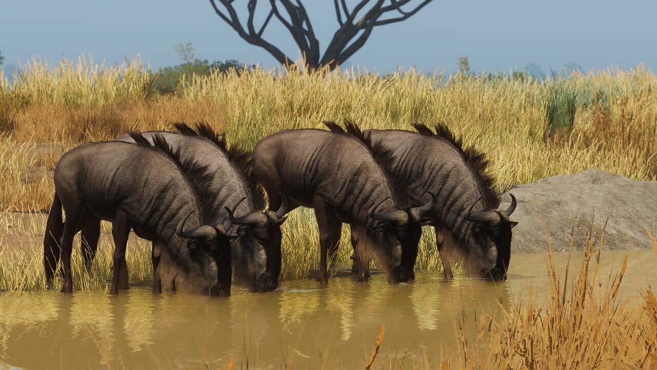 Planet Zoo: Grasslands Animal Pack thumbnail 2