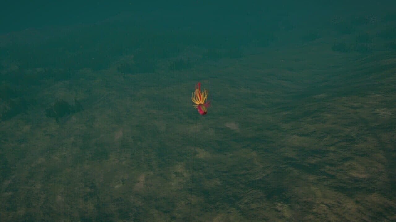 Ultimate Fishing Simulator VR: Florida thumbnail 5
