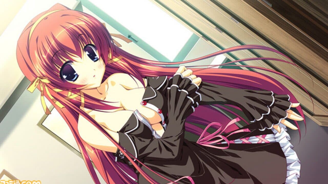 Cure Mate Club thumbnail 5