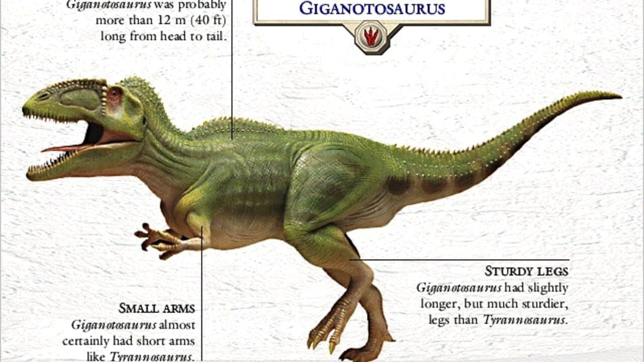 3D Dinosaur Hunter thumbnail 5