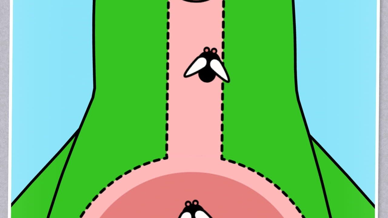 Toca Pet Doctor thumbnail 5