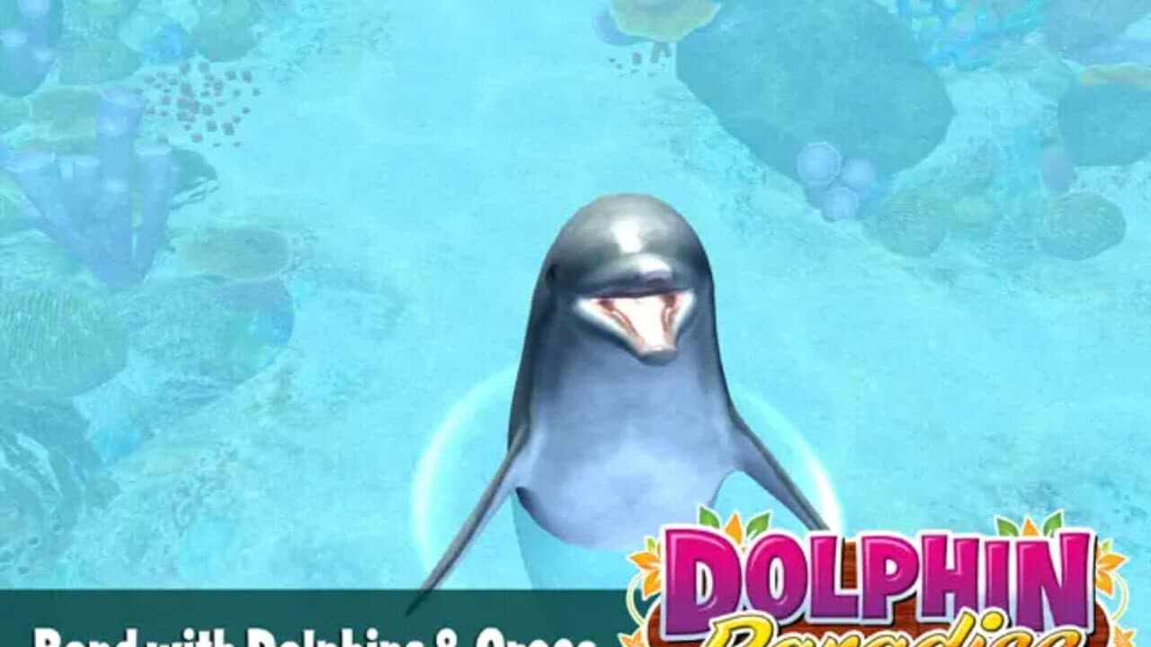Dolphin Paradise: Wild Friends thumbnail 4