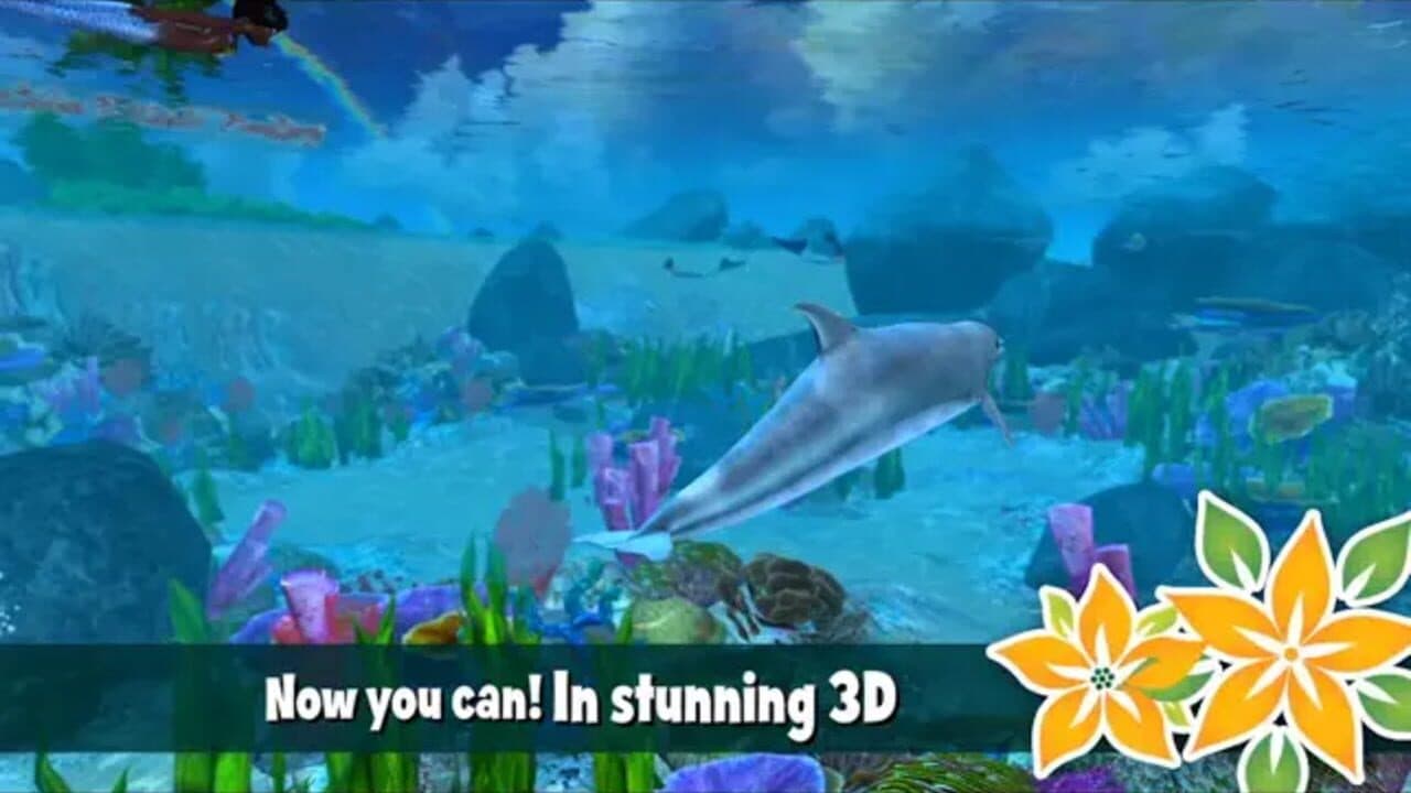 Dolphin Paradise: Wild Friends thumbnail 5