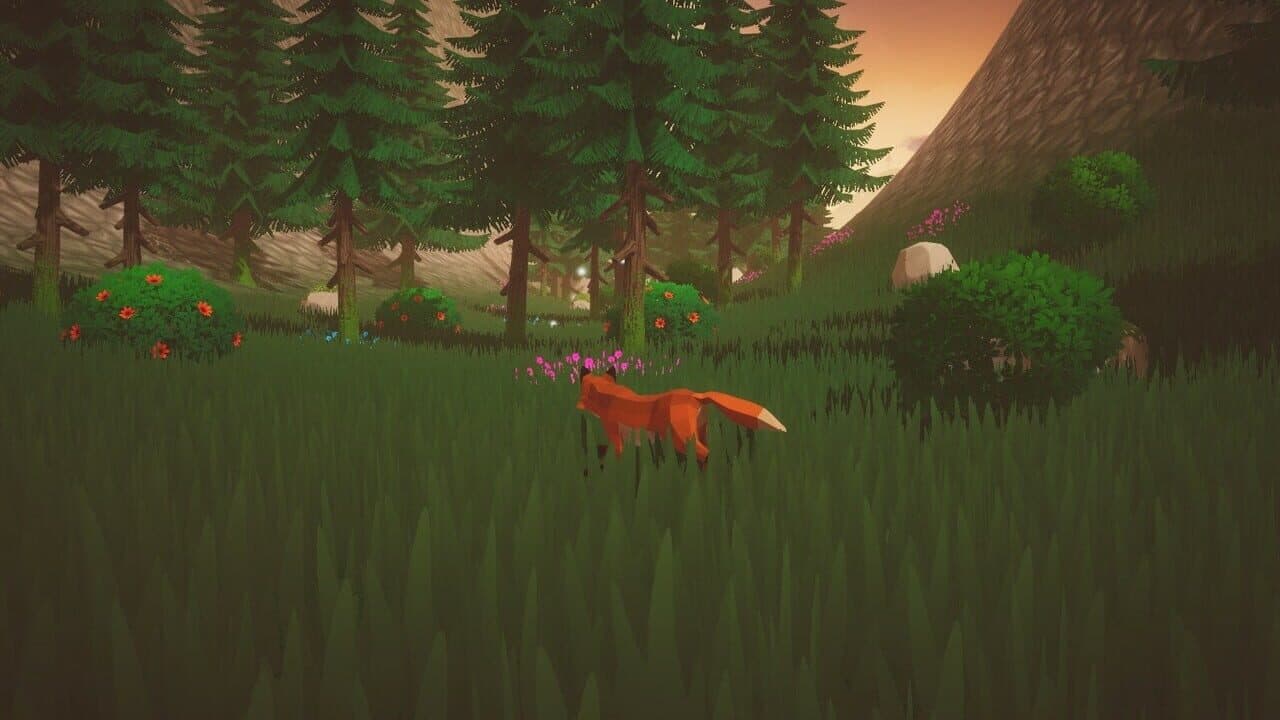 Silent Paws: Hidden Valley thumbnail 5