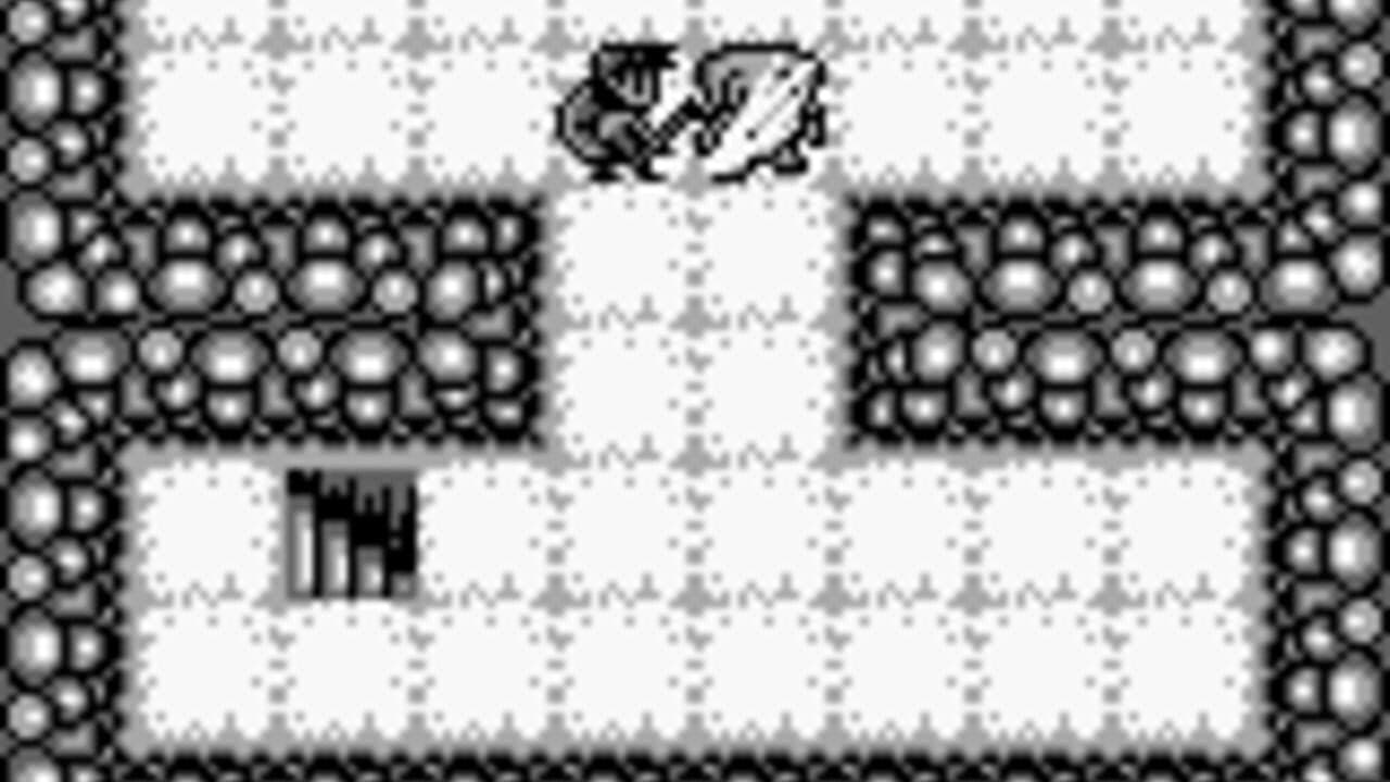 Cave Noire thumbnail 4