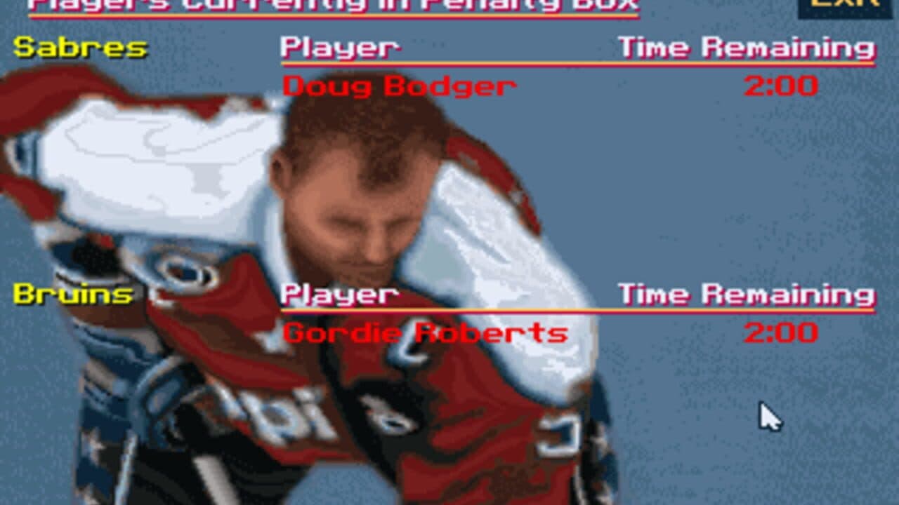 Wayne Gretzky Hockey 3 thumbnail 12