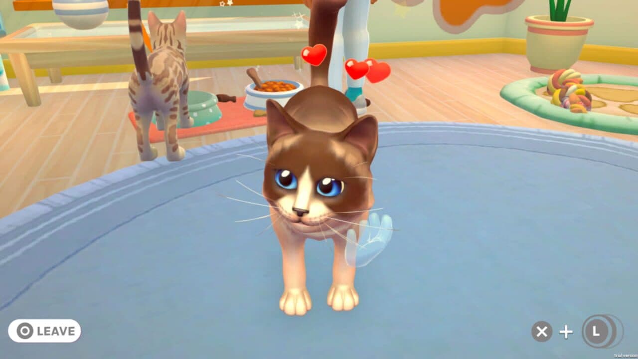 My Universe: Pet Clinic - Cats & Dogs: Panda Edition thumbnail 19