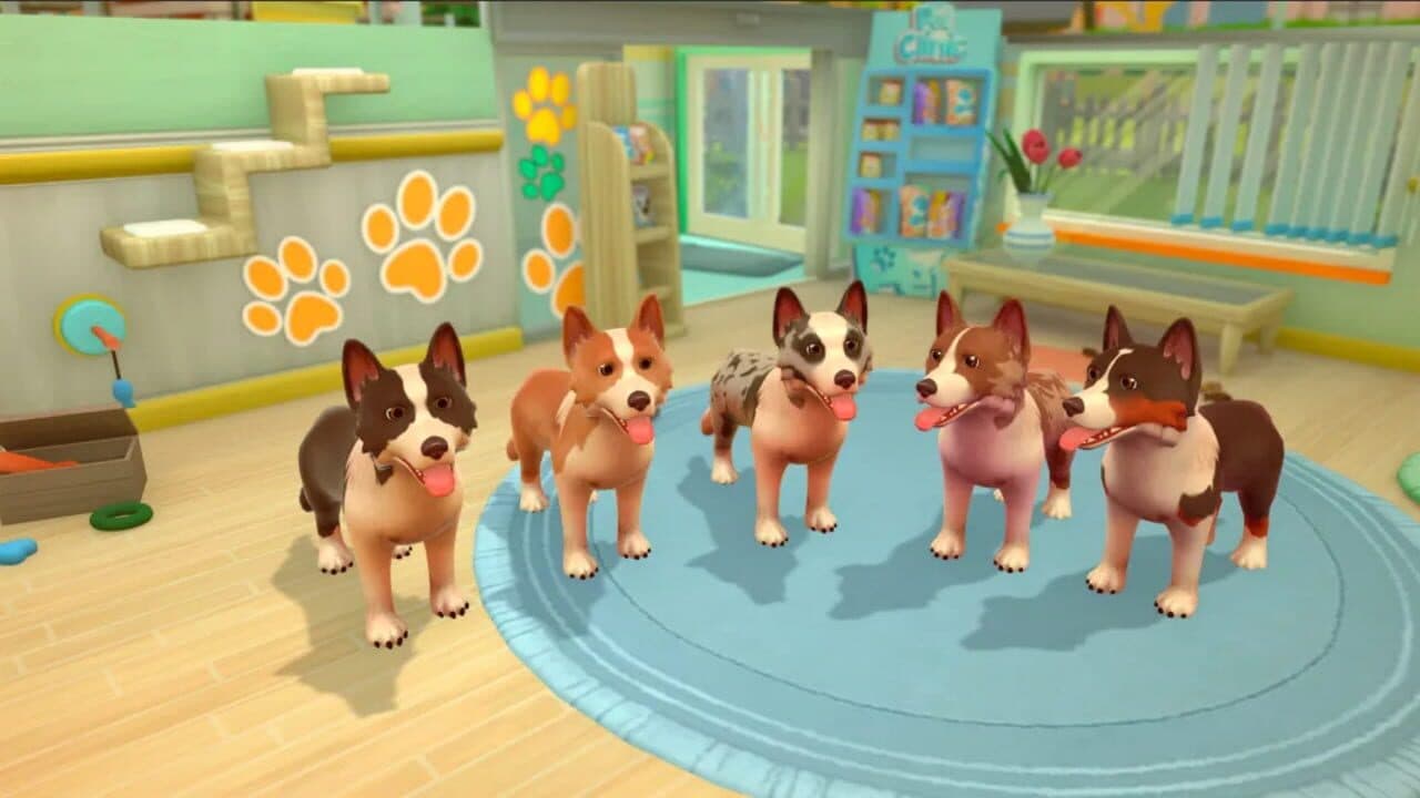My Universe: Pet Clinic - Cats & Dogs: Panda Edition thumbnail 20