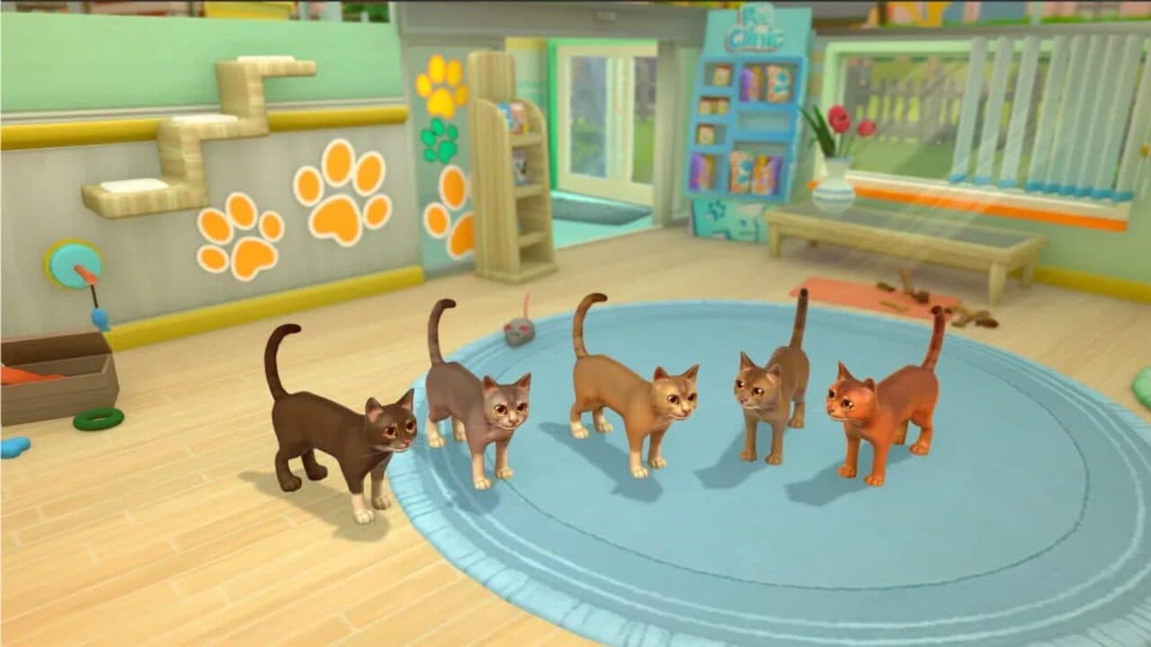 My Universe: Pet Clinic - Cats & Dogs: Panda Edition thumbnail 14