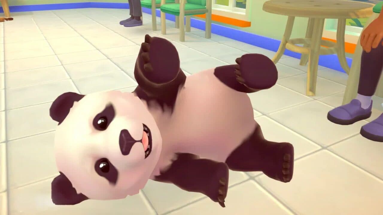 My Universe: Pet Clinic - Cats & Dogs: Panda Edition thumbnail 15