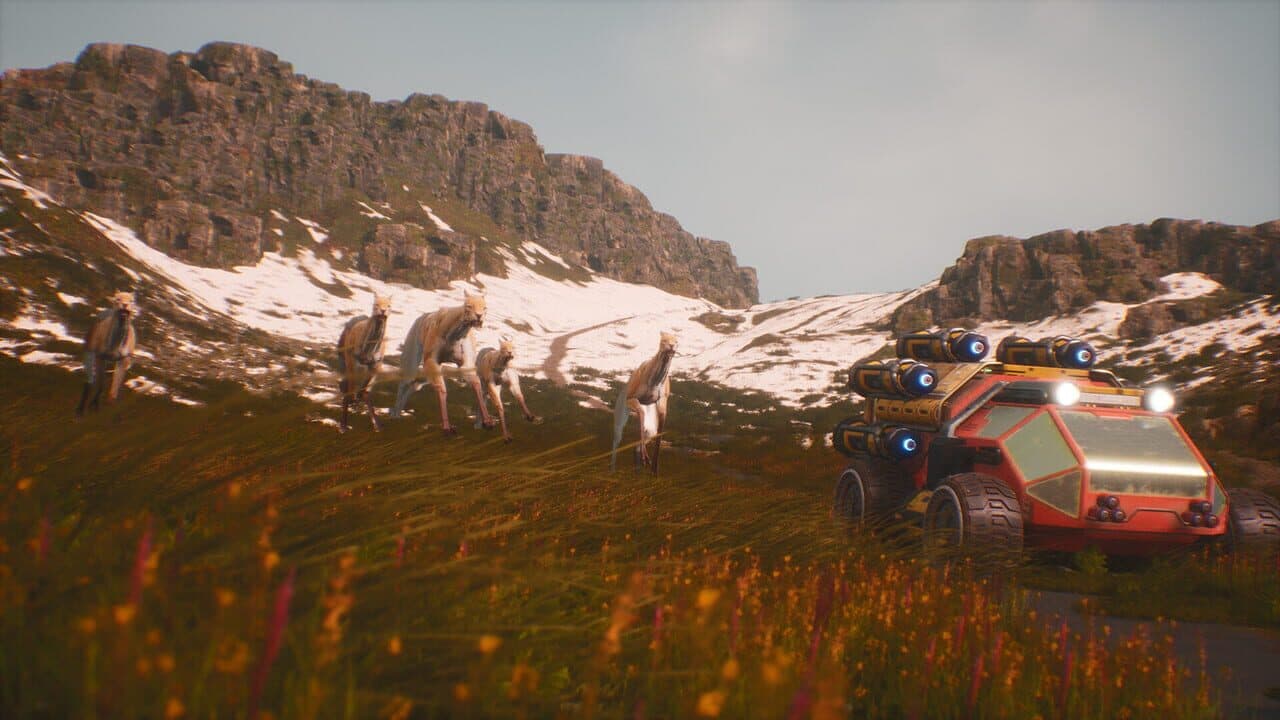 The Signal: Stranded on Sirenis thumbnail 2