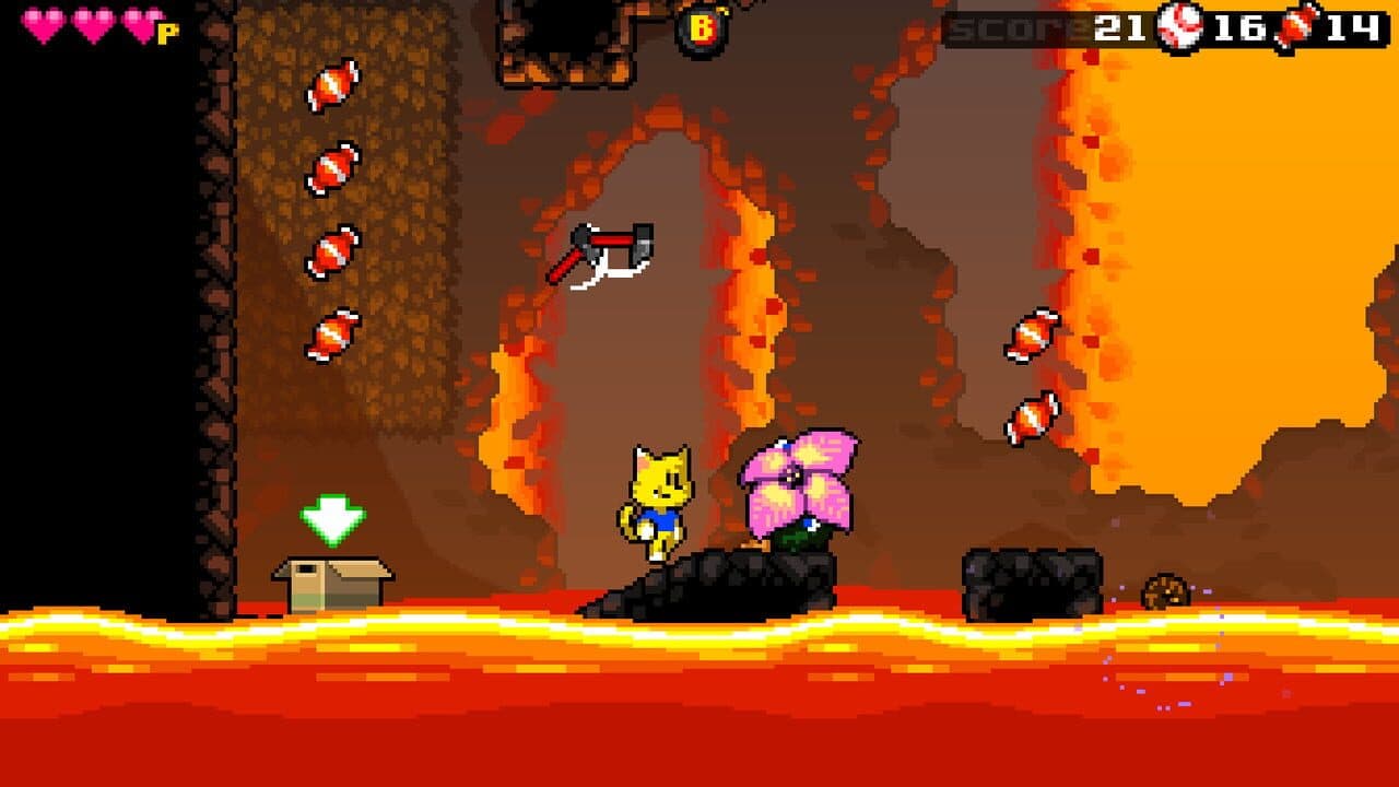 Éclipse The Cat thumbnail 3