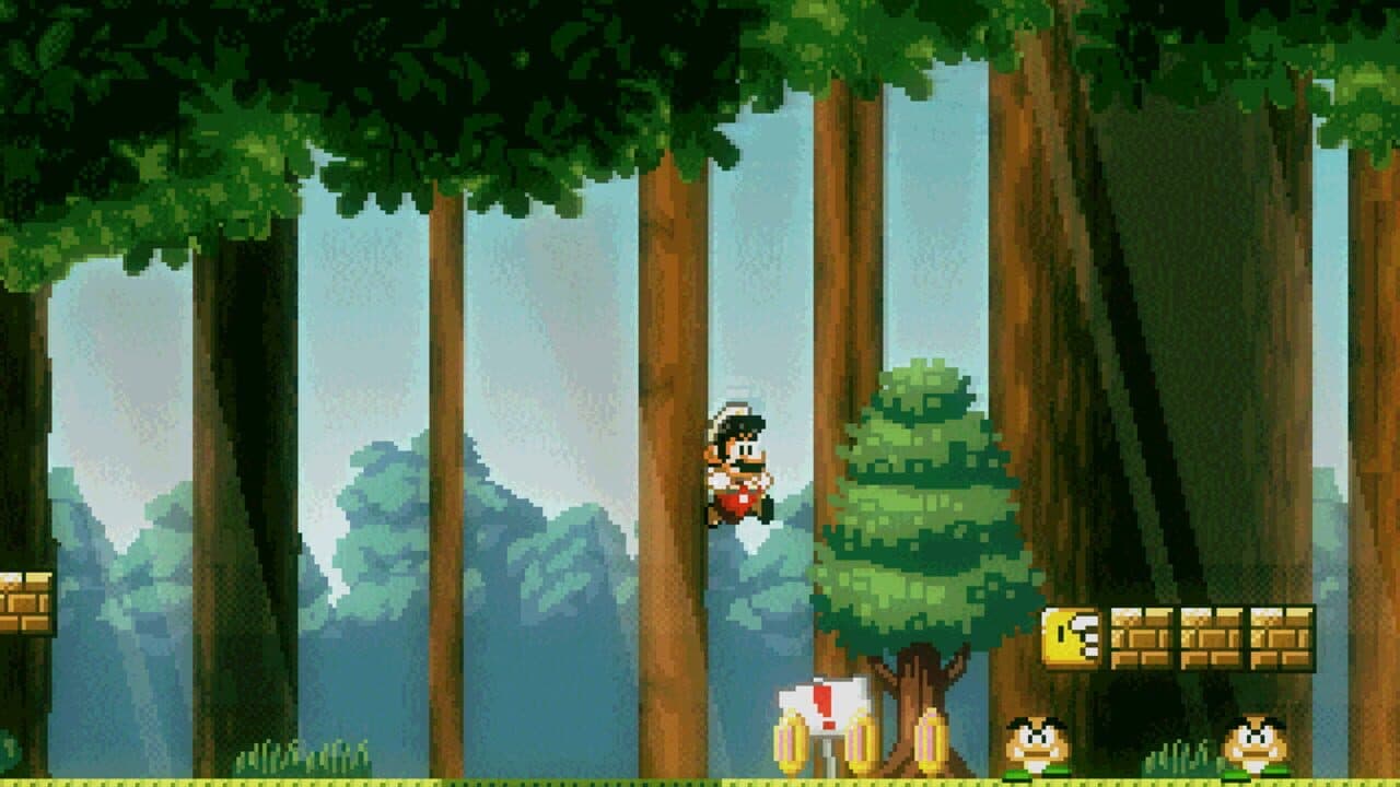 Super Mario Bros. Friends thumbnail 6