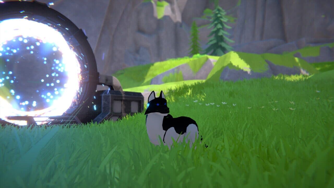 Dog Years thumbnail 8