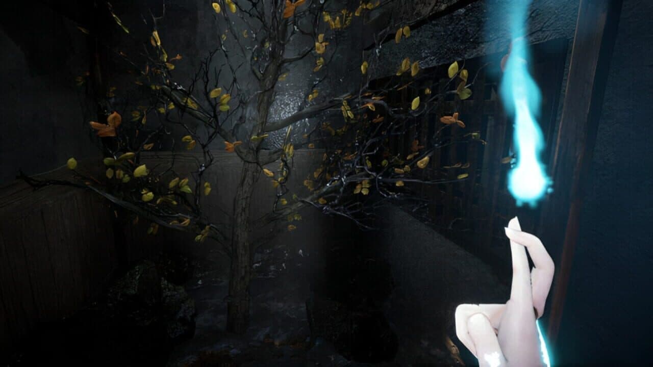 Chiyo thumbnail 7