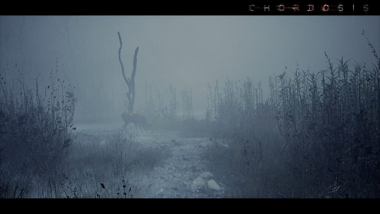 Chordosis thumbnail 10