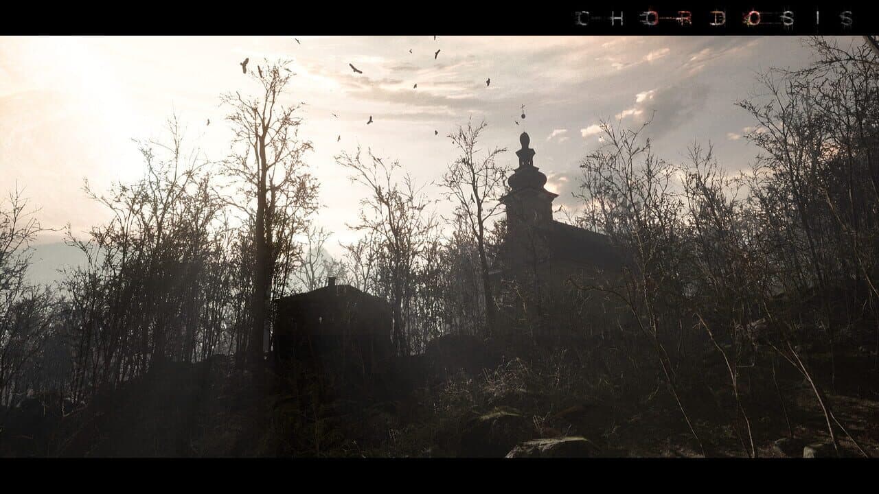 Chordosis thumbnail 3