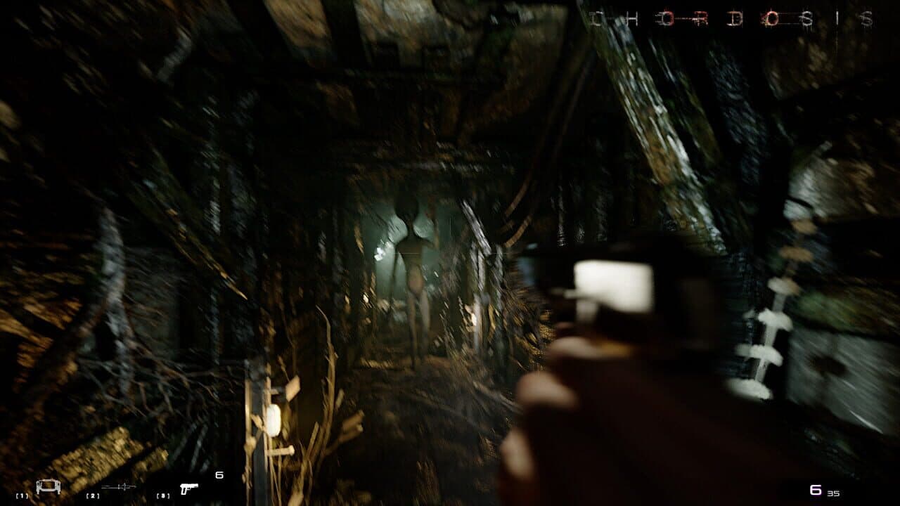 Chordosis thumbnail 5