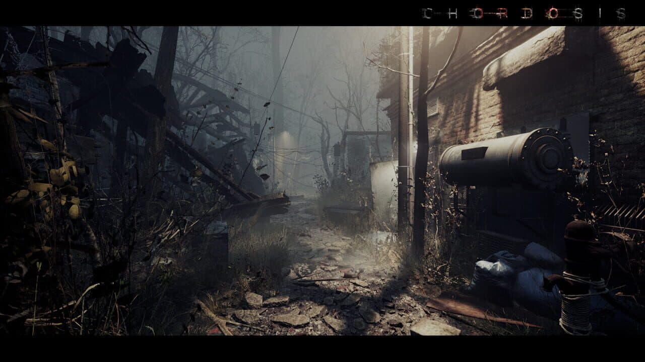 Chordosis thumbnail 9