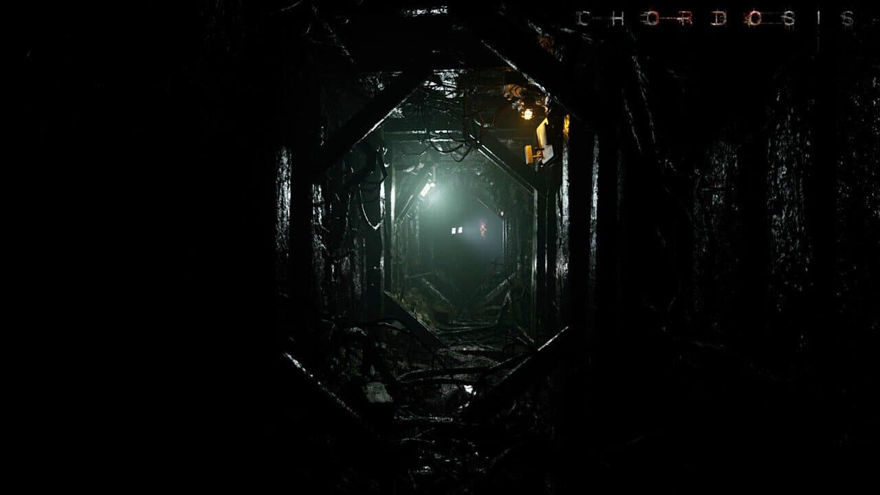 Chordosis thumbnail 8