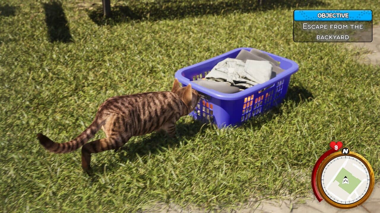 Cat Life Simulator thumbnail 6