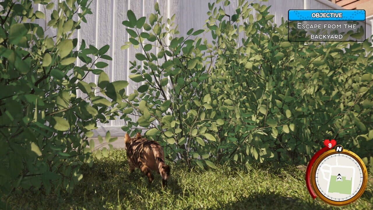 Cat Life Simulator thumbnail 7