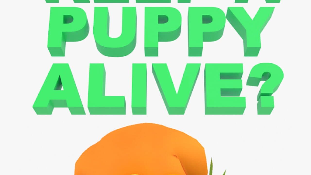 Pokipet thumbnail 11
