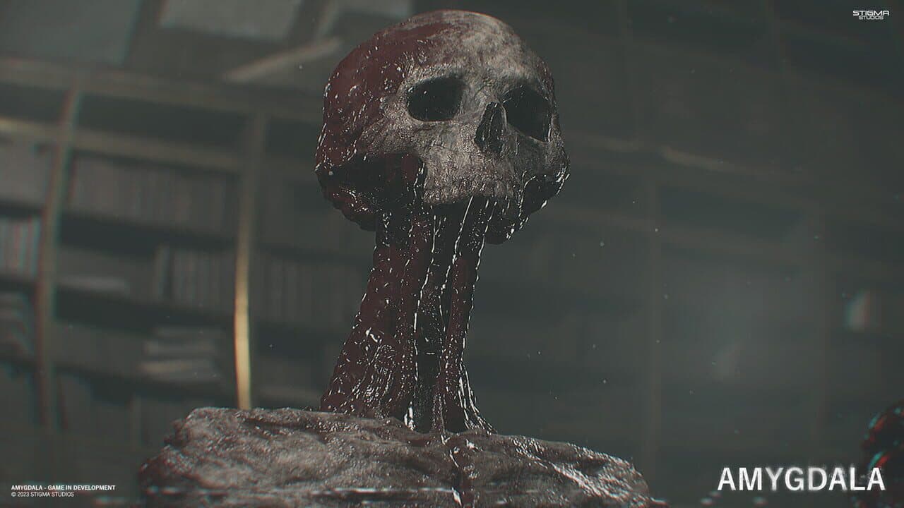 Amygdala thumbnail 5