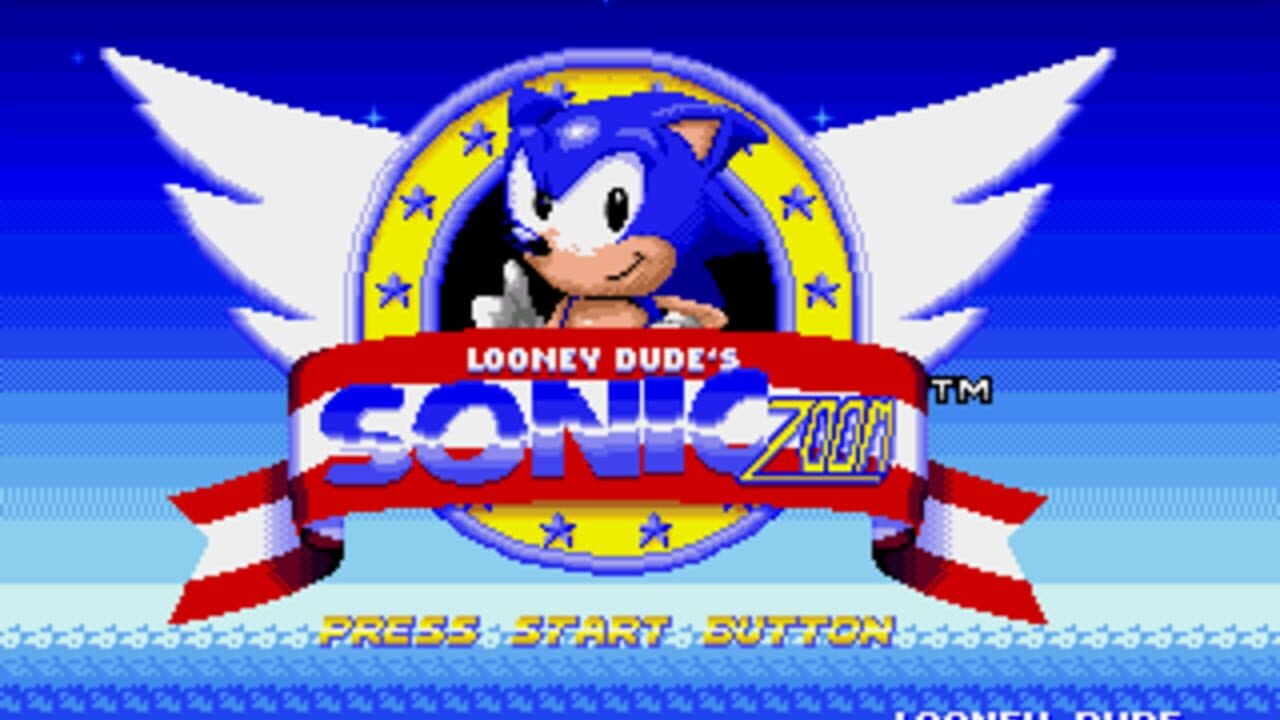 Sonic Zoom screenshot 1