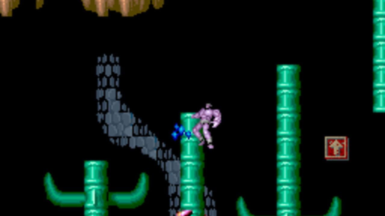 Black Tiger thumbnail 6