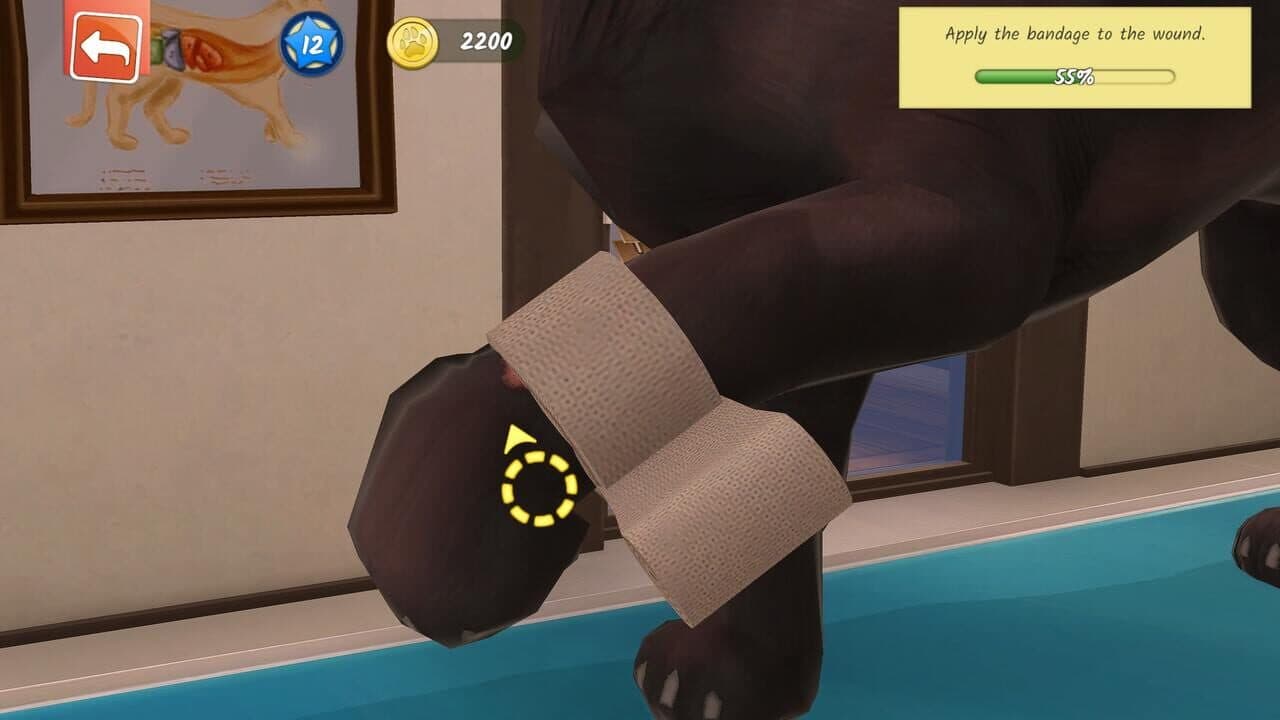 Animal Hospital thumbnail 2