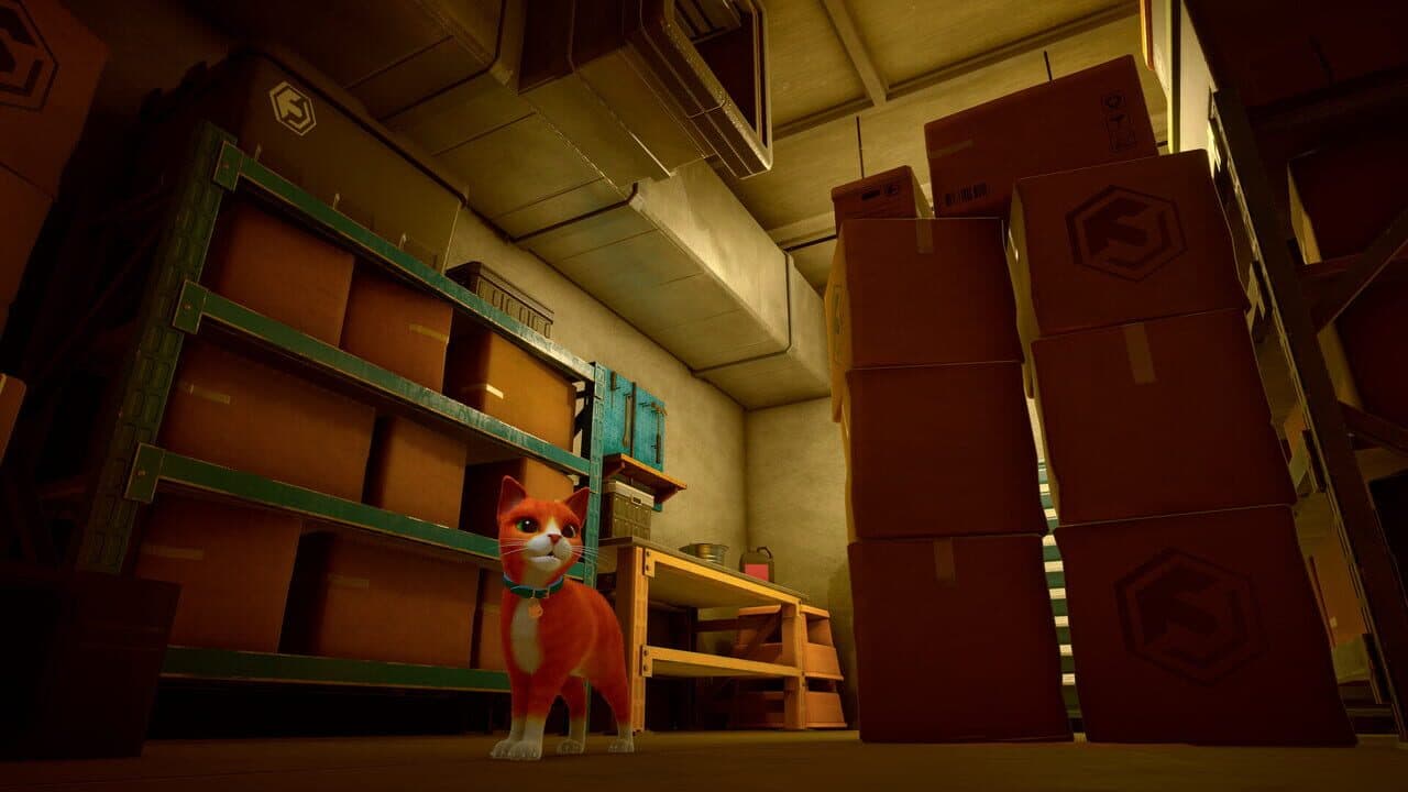 Schrodinger's Cat Burglar thumbnail 6