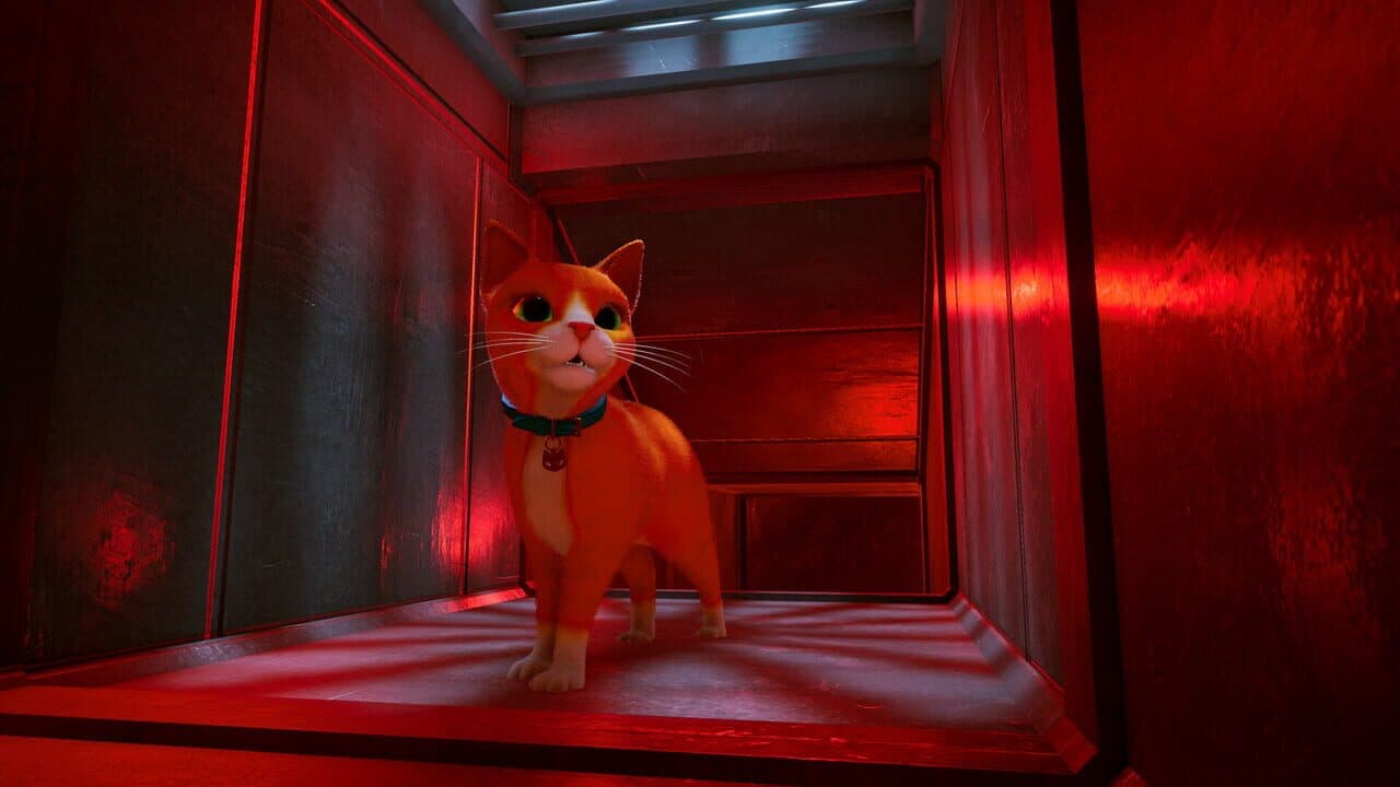 Schrodinger's Cat Burglar thumbnail 5