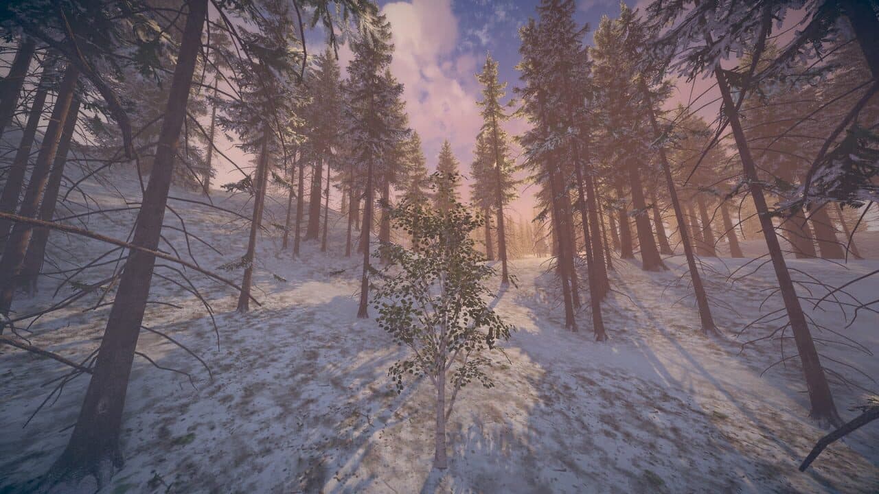 Birch Simulator thumbnail 7