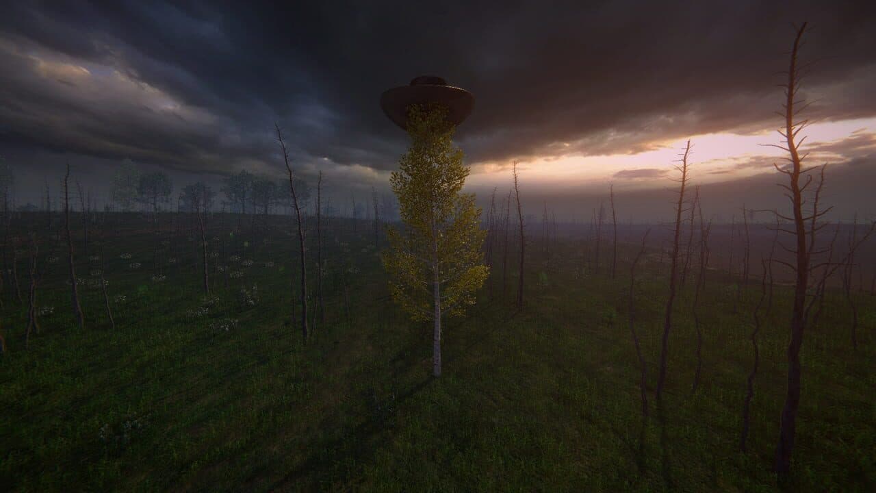Birch Simulator thumbnail 10