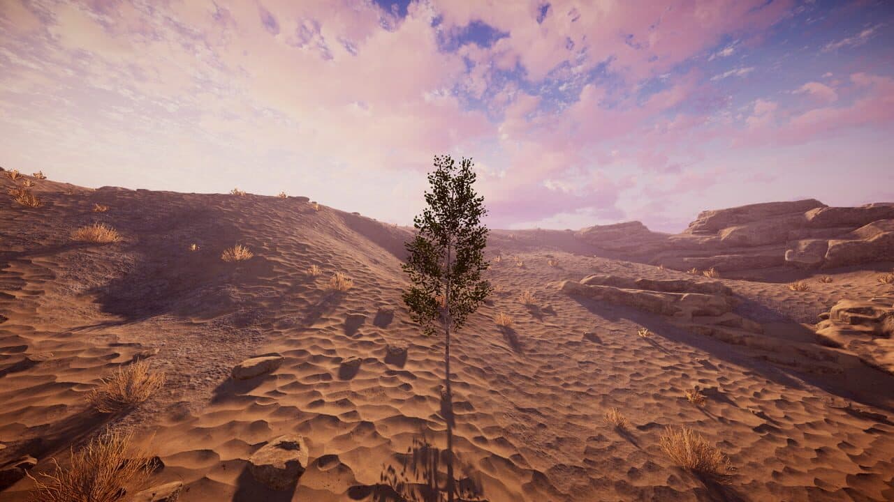 Birch Simulator thumbnail 14