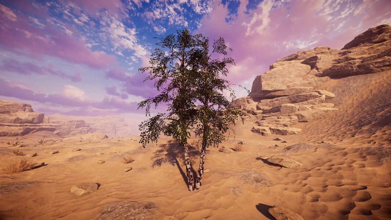 Birch Simulator thumbnail 15