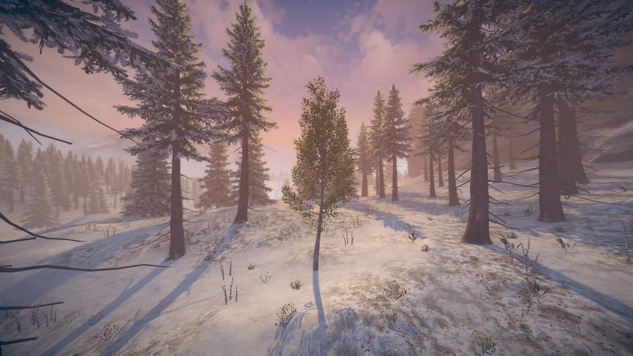 Birch Simulator thumbnail 11