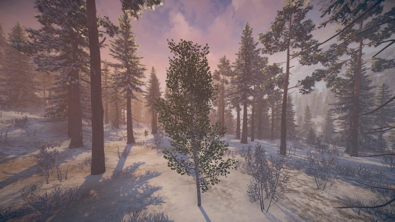 Birch Simulator thumbnail 5