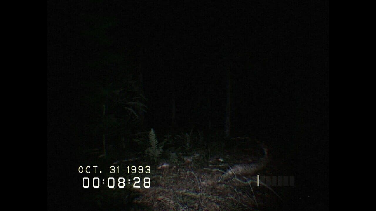Don't Scream thumbnail 4